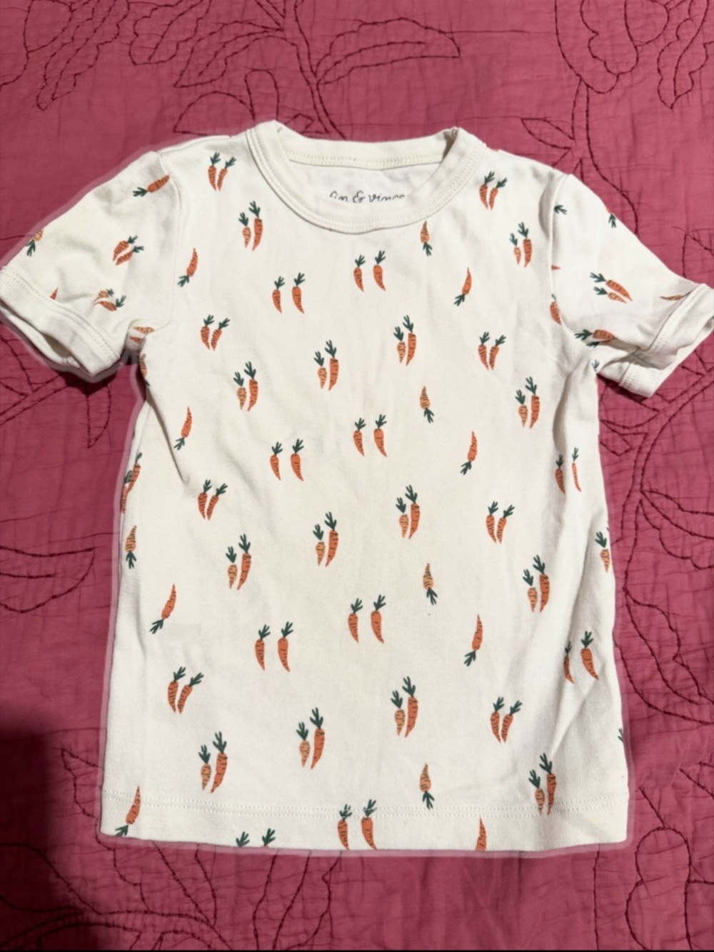 Fin & Vince Organic Cotton Oatmeal Short-Sleeve Kids Tee w/Carrot Print 4/5